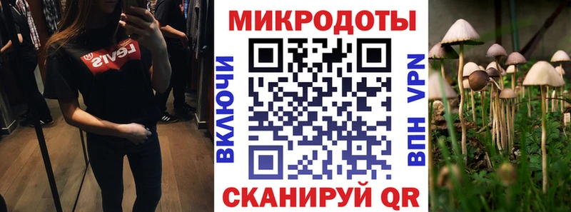 Купить  Сурск  Галлюциногенные грибы Psilocybine cubensis 